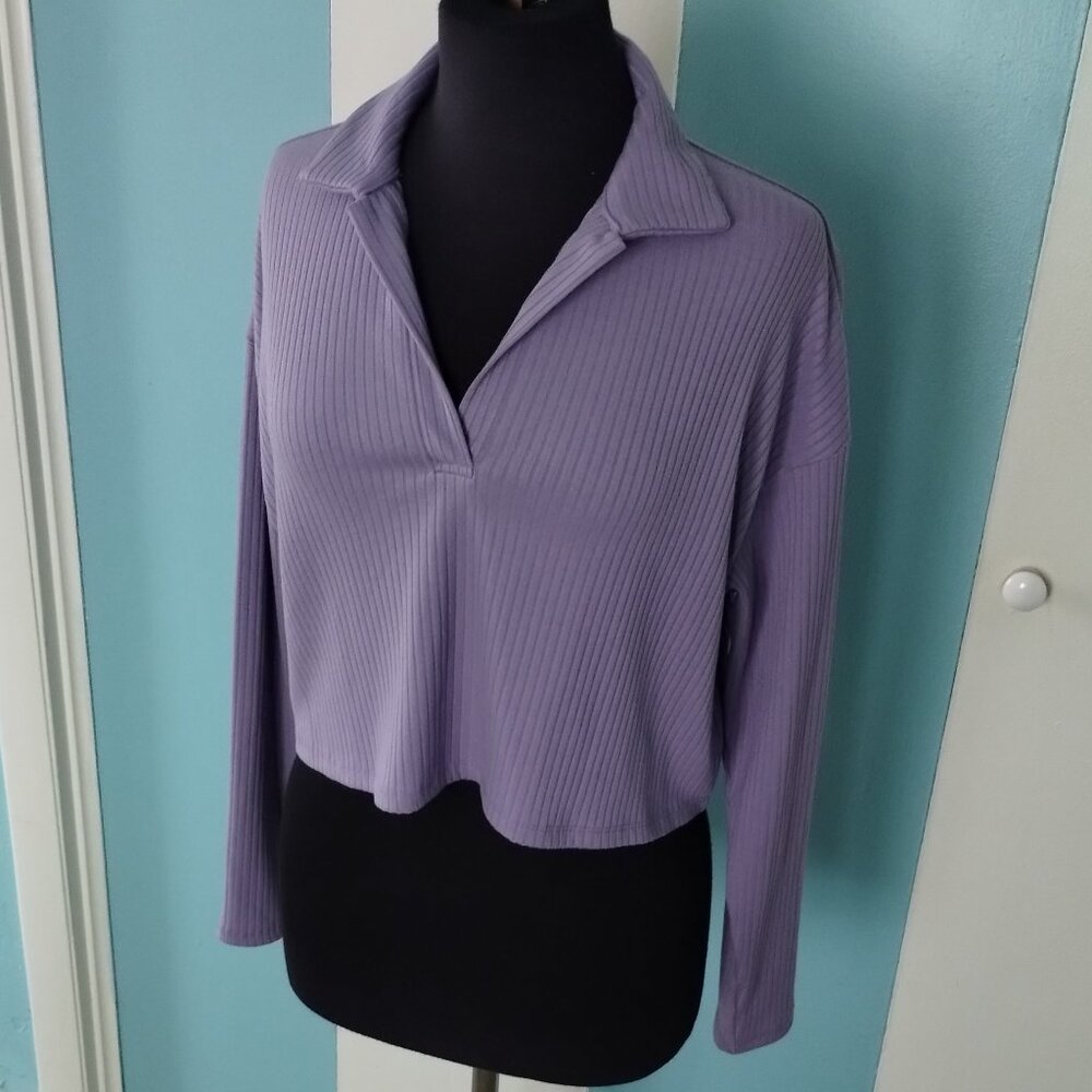 Forever 21 Lavender Long Sleeve V-Neck Top